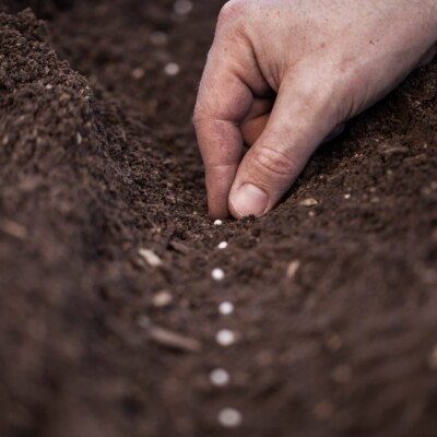 sowing seeds of the gospel in Spain the Navigators